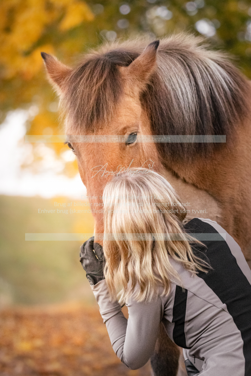 MG_7936-Edit