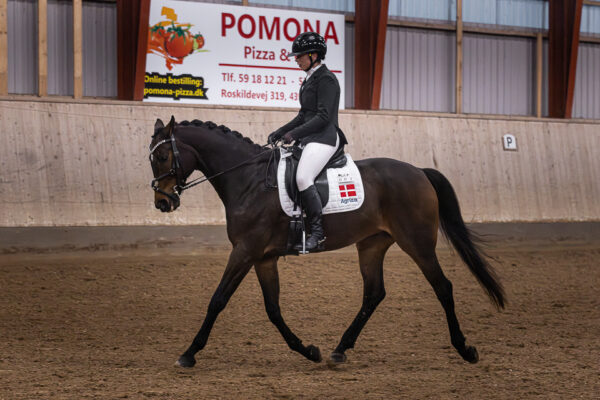 MG_4657