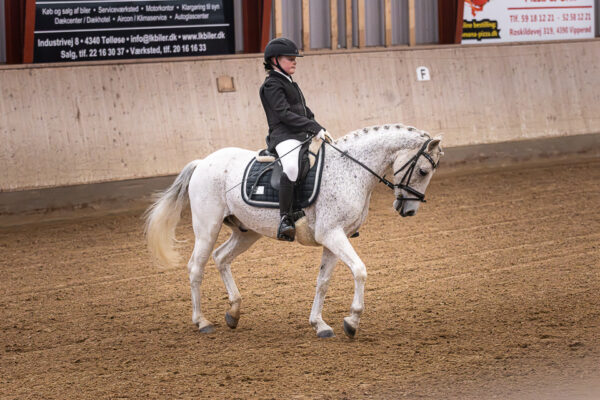 MG_4961