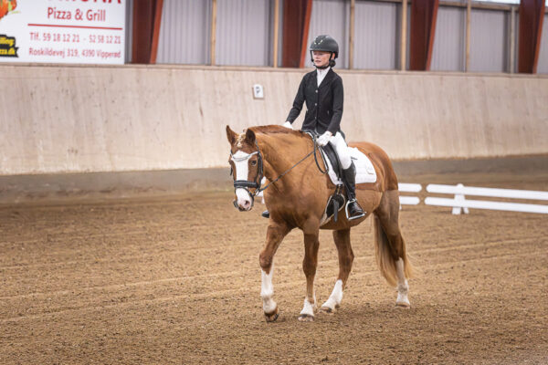 MG_4853
