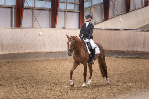 MG_9334