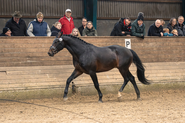 MG_4103