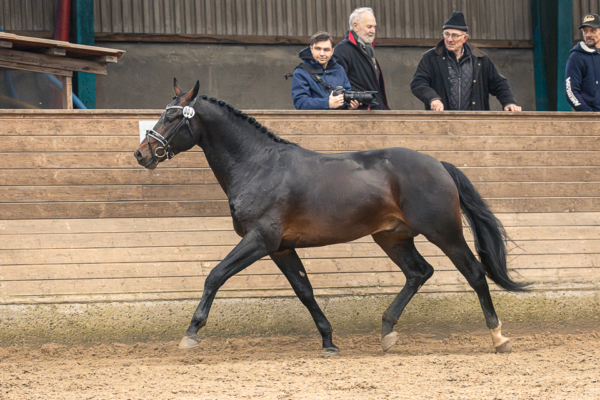 MG_4109
