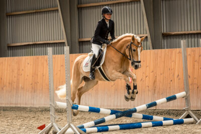 MG_9660-klein-2