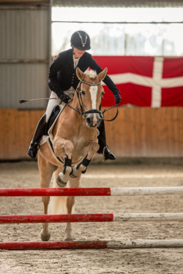 MG_9698-klein-2