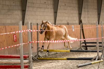 MG_9709-klein-2