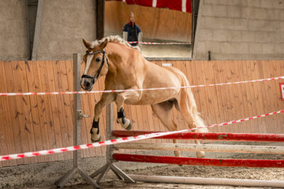 MG_9722-klein-2