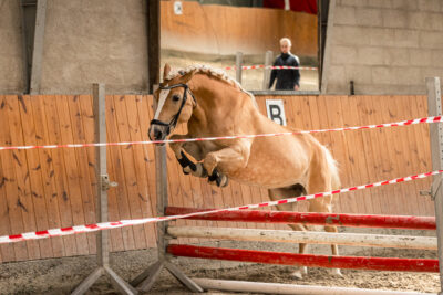 MG_9735-klein-2