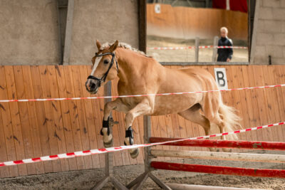 MG_9737-klein-2
