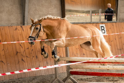 MG_9751-klein-2
