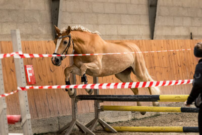 MG_9756-klein-2