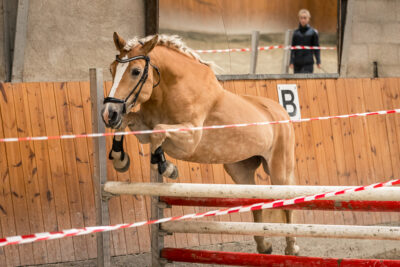 MG_9763-klein-2