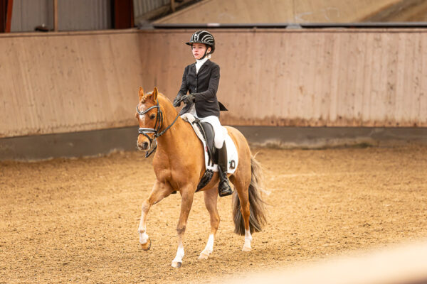 MG_0548