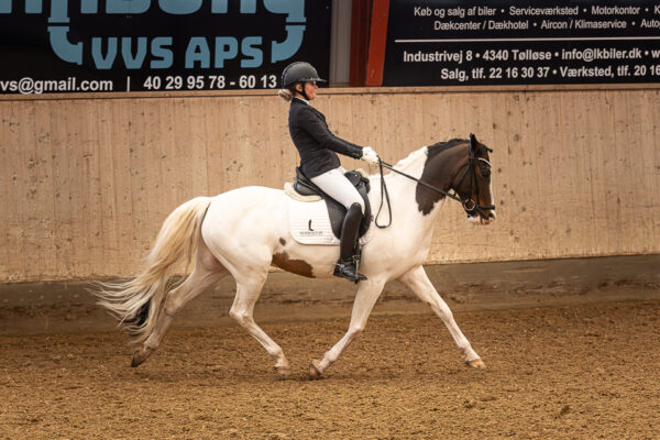 MG_6540