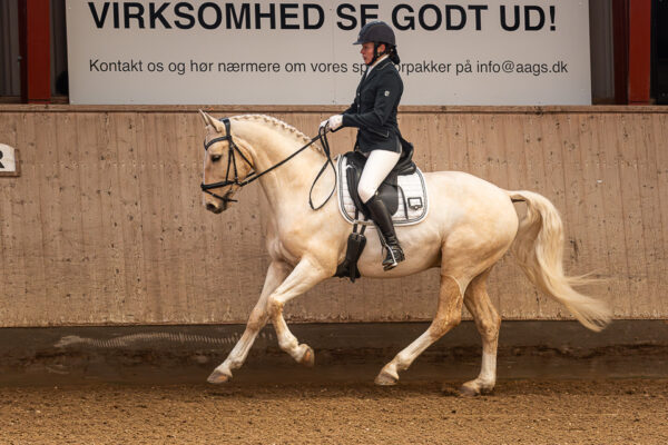 MG_0911