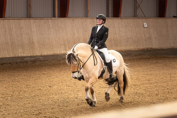 MG_6902